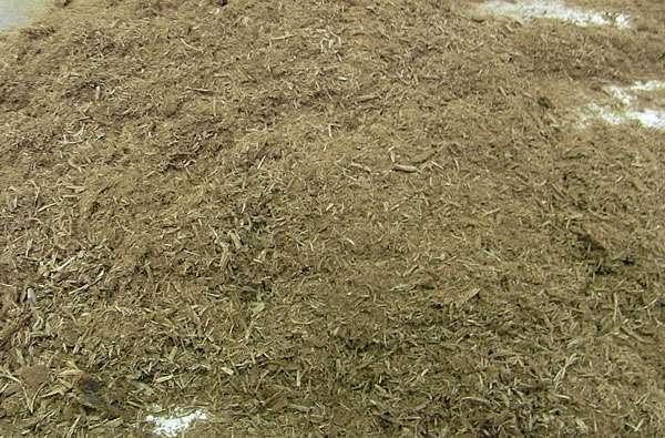針葉樹樹皮バーク乾燥